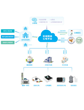 区域网络心电平台