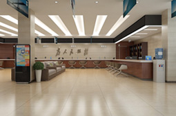 政务/学校/部门单位