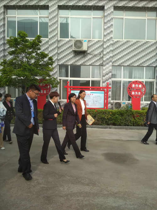 山东悟空体育有限公司 2019年全省医养结合示范创建推进会暨医养结合工作现场会