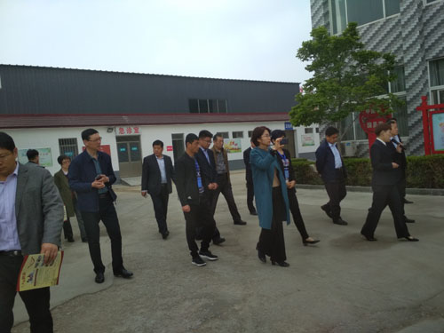 山东悟空体育有限公司 2019年全省医养结合示范创建推进会暨医养结合工作现场会