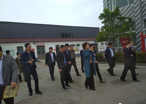 2019年全省医养结合示范创建